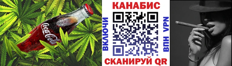 блэк спрут как зайти  Боровичи  Cannafood конопля 