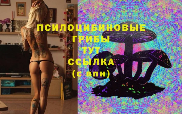 МДПВ Чита