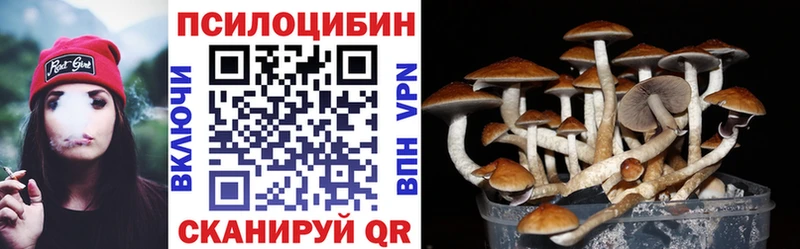 Галлюциногенные грибы Psilocybine cubensis  mega рабочий сайт  Боровичи 