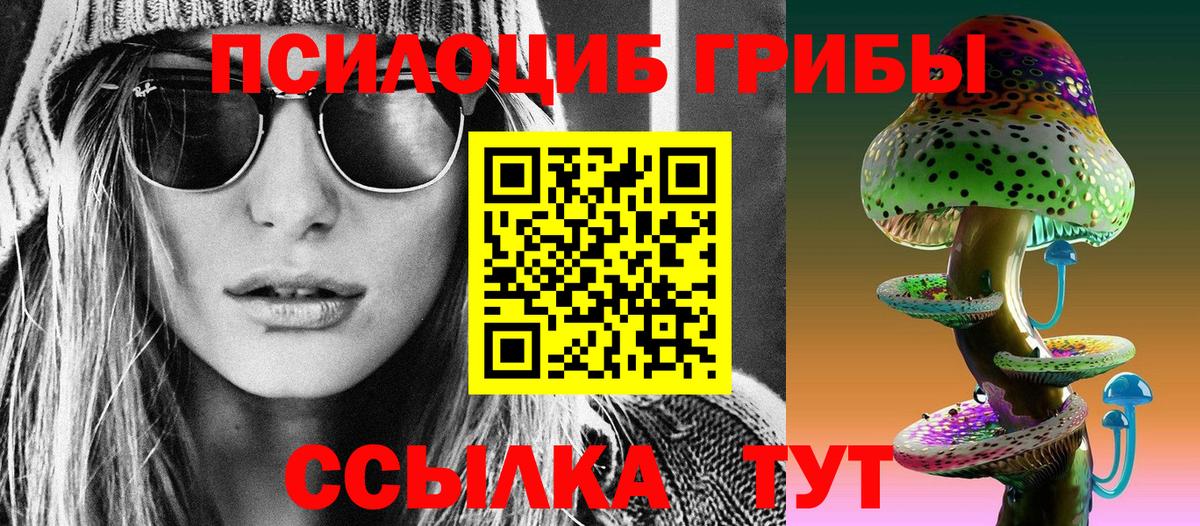 Галлюциногенные грибы MAGIC MUSHROOMS  Псилоцибиновые грибы мухоморы  Боровичи  Вход с VPN 